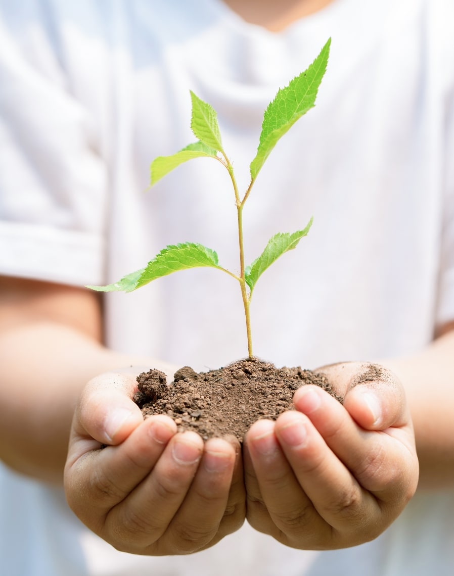 木育ツーリズムと木のおもちゃ